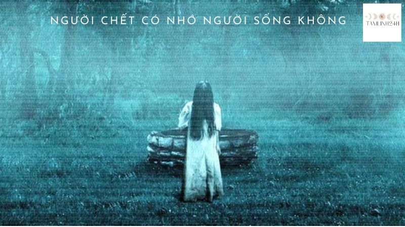 Người Chết Có Nhớ Người Sống Không