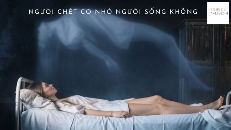 Người Chết Có Nhớ Người Sống Không