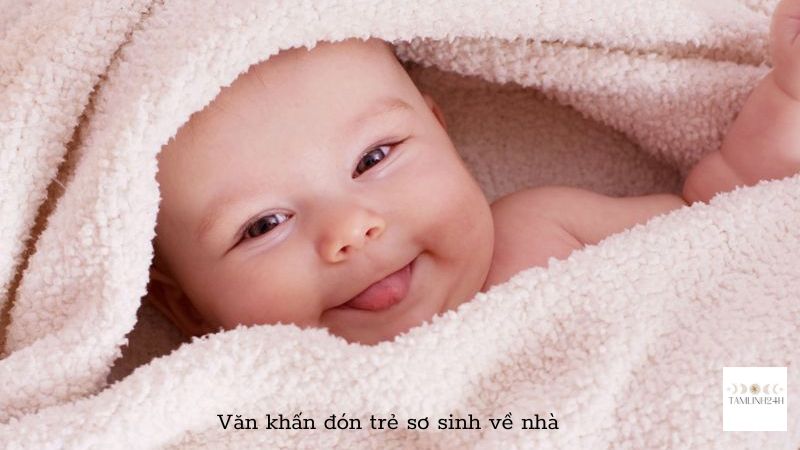 văn khấn đón trẻ sơ sinh về nhà