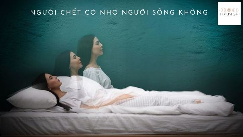 Người Chết Có Nhớ Người Sống Không