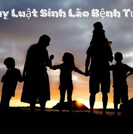 Quy Luật Sinh Lão Bệnh Tử