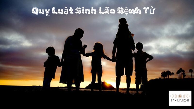 Quy Luật Sinh Lão Bệnh Tử